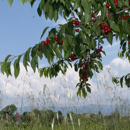 La Ferme De Chaleyre Bed and Breakfast Romans-sur-Isère Εξωτερικό φωτογραφία